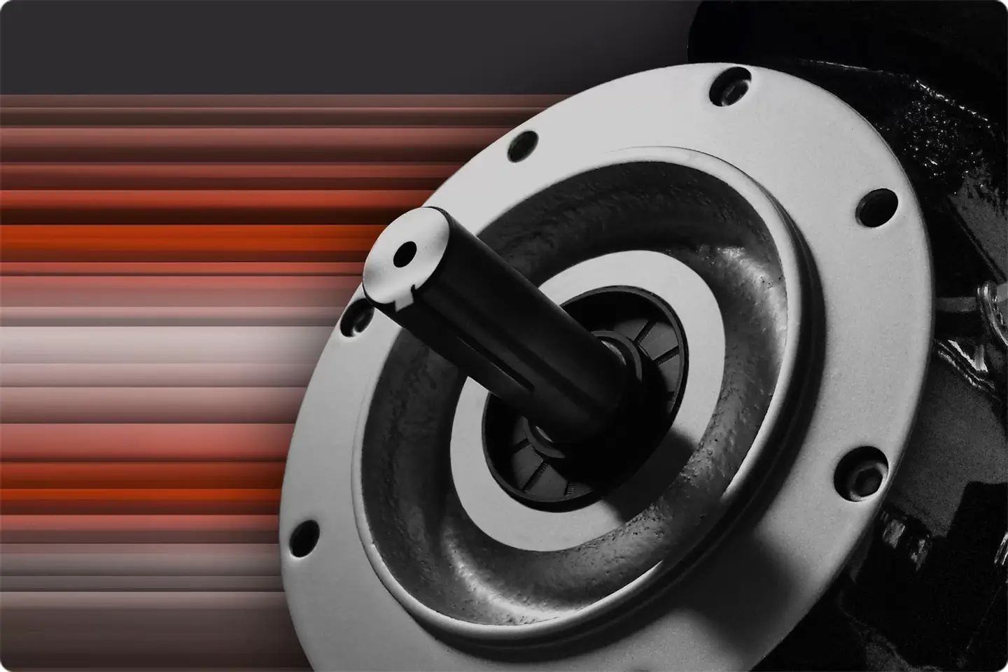 Coel Motori Srl